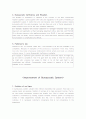 Problem and Solution of Bureaucracy 2페이지