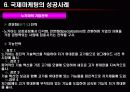 국제마케팅  13페이지