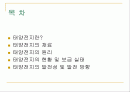 태양전지 2페이지