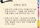 라멘구조 2페이지
