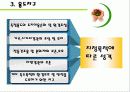용도지역지구제 ppt 11페이지