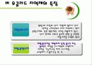 용도지역지구제 ppt 19페이지