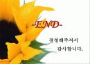 용도지역지구제 ppt 20페이지