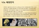 Nano sola cell, 태양광 발전 기술과 태양 전지의 특성 및 원리 그리고 이것의 실제 적용 사례에 대하여  15페이지