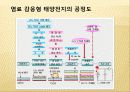 Nano sola cell, 태양광 발전 기술과 태양 전지의 특성 및 원리 그리고 이것의 실제 적용 사례에 대하여  25페이지