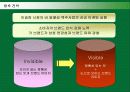 하이네켄(Heineken)의 해외진출현황과 한국시장진출전략 30페이지