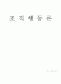 (경영학) 경영관리,경영전략,인사관리,생산관리,조직행동론,판매관리 종합 서브 29페이지