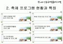 관광,축제-안동국제탈춤페스티벌 ppt자료 11페이지