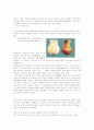 시대 미술 특징 6페이지