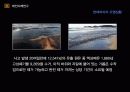 태안기름유출사건사례 6페이지