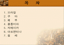남미 의료제도 2페이지