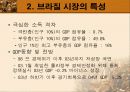 남미 의료제도 13페이지
