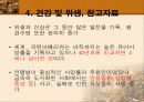 남미 의료제도 15페이지