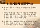 남미 의료제도 17페이지