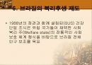 남미 의료제도 19페이지