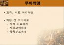 남미 의료제도 23페이지