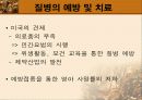 남미 의료제도 27페이지