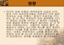 남미 의료제도 29페이지