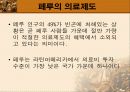 남미 의료제도 32페이지