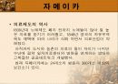 남미 의료제도 42페이지