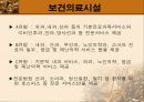 남미 의료제도 44페이지