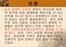 남미 의료제도 53페이지