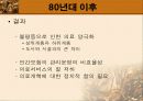 남미 의료제도 66페이지