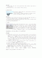 길이 및 곡률반경 측정 3페이지