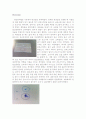 미생물의 염색법(단일염색) 3페이지