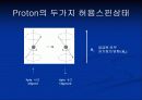 Nuclear Magnetic Resonance(NMR)의 원리 10페이지