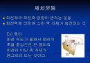 Nuclear Magnetic Resonance(NMR)의 원리 18페이지
