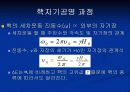 Nuclear Magnetic Resonance(NMR)의 원리 19페이지