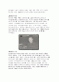 전태일에 관한 자료와 개인적 소견 8페이지