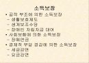 장애인 복지정책 5페이지