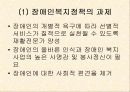 장애인 복지정책 12페이지
