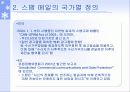 스팸메일에 관하여,(실태와, 대처방법) 5페이지