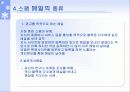 스팸메일에 관하여,(실태와, 대처방법) 8페이지