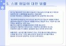 스팸메일에 관하여,(실태와, 대처방법) 12페이지