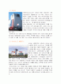 국내에 진출한 국내외 대형 할인점 현황 10페이지