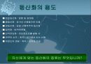 등산화의 종류 17페이지