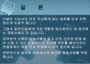 등산화의 종류 19페이지