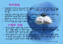 전염병 요약 소개 자료 5페이지
