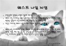 전염병 요약 소개 자료 7페이지