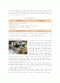 국내외 재래시장의 성공, 실패사례와 활성화전략 8페이지