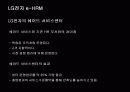 e-HRM의 도입배경 및 기대효과와 LG전자 사례분석 29페이지