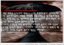 언어폭력 파워포인트자료 (보고서는 별도) 6페이지