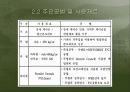 [응용역학]삼천포대교의 모든 것 6페이지