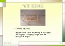 계란낙하 보고서 10페이지