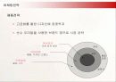 김치냉장고 딤채의 마케팅전략과 성공요인 15페이지