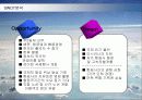 대한항공의 마케팅전략 분석과 향후전망 19페이지